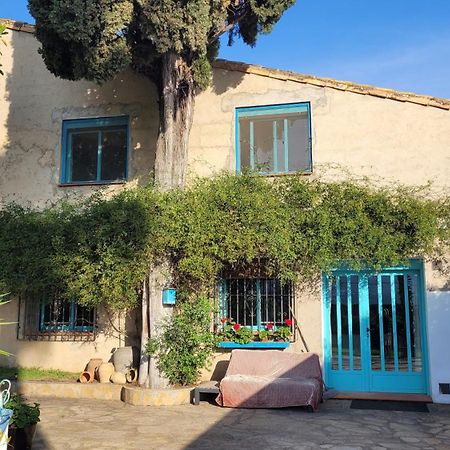 Tormos Casa Alestelou المظهر الخارجي الصورة